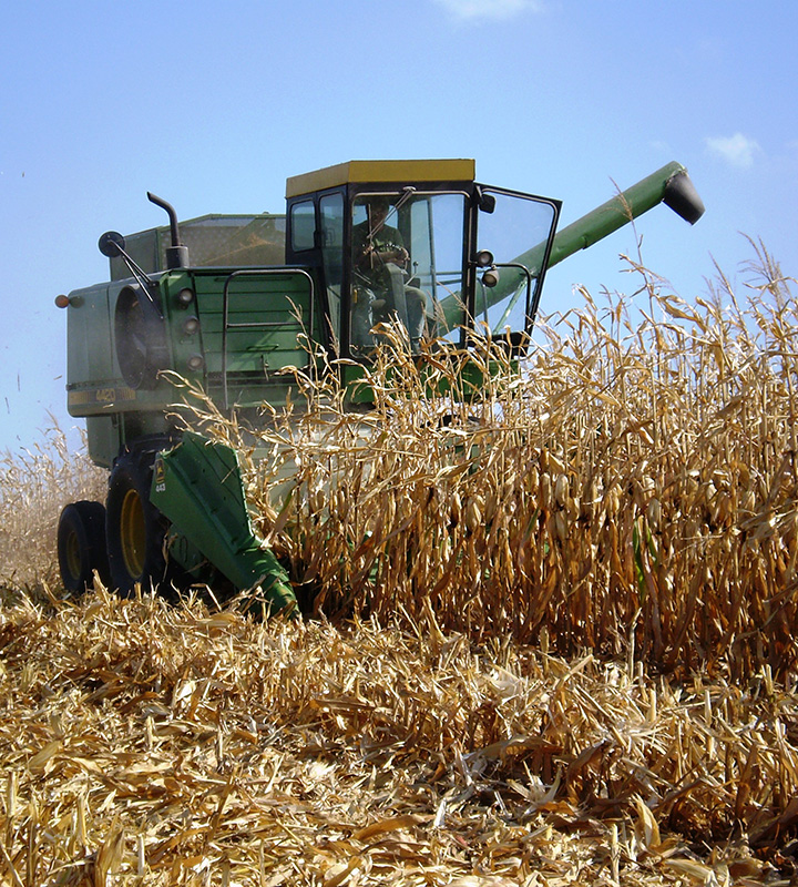 Feed Supply Dairy in Kansas