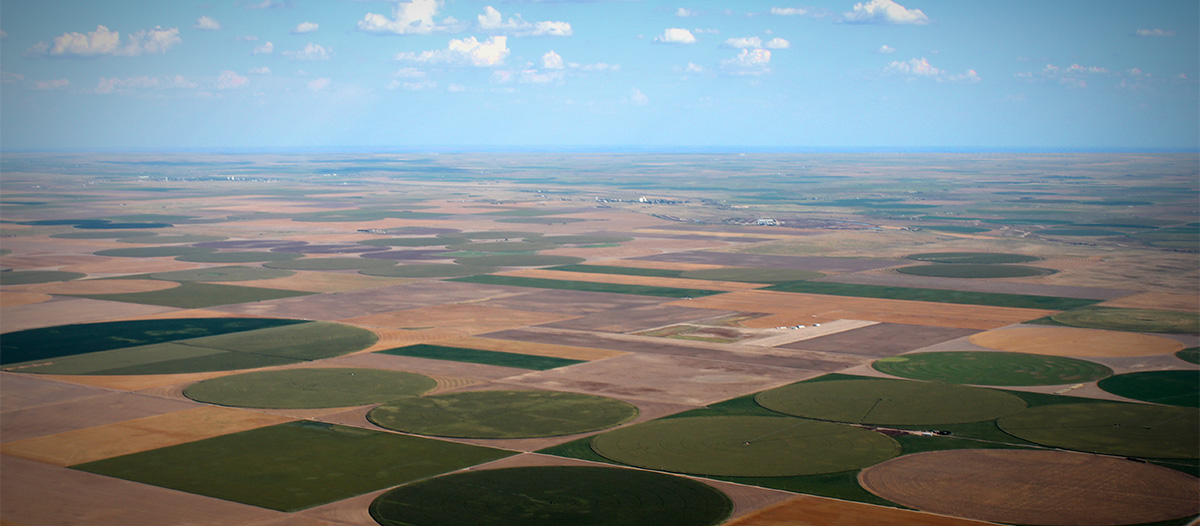 Wide Open Spaces  Dairy in Kansas